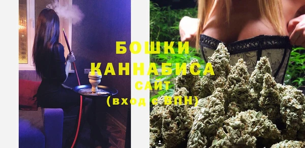 спайс Михайлов