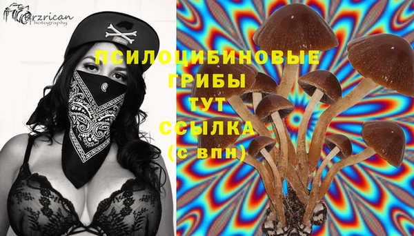 ПСИЛОЦИБИНОВЫЕ ГРИБЫ Михайловка