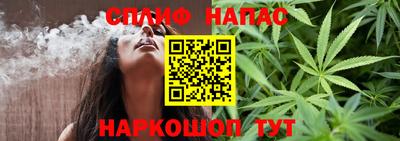 гашик Волжск
