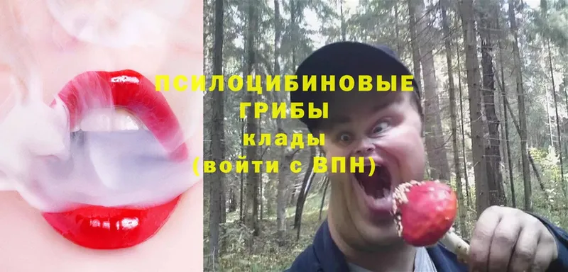 omg зеркало  Благовещенск  Галлюциногенные грибы Magic Shrooms 