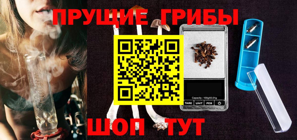 Псилоцибиновые грибы Psilocybine cubensis  Вход с VPN  Благовещенск 